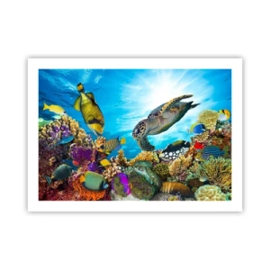 Plakat - Koralpromenade - 70x50 cm