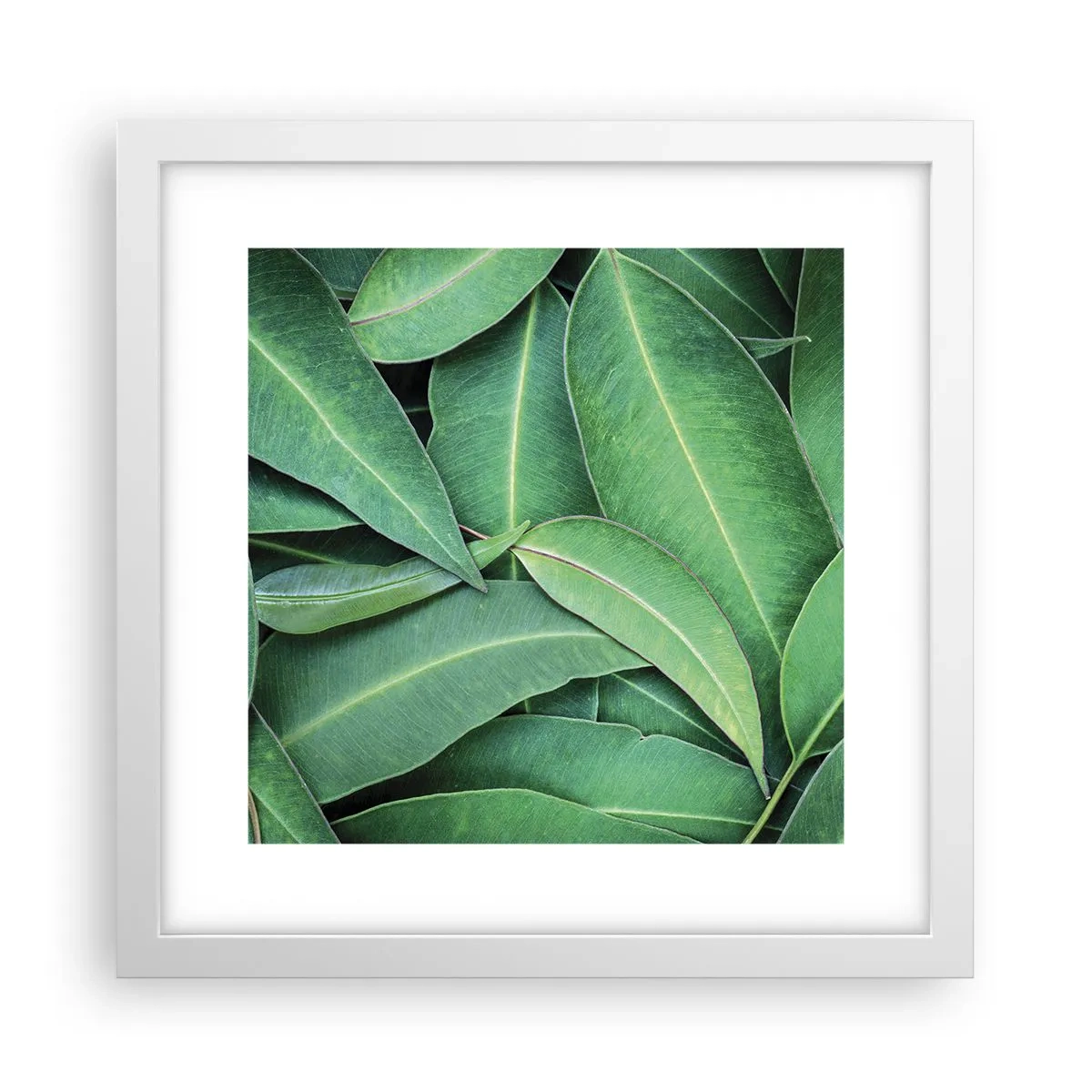 Plakat i hvid ramme - Saftig og frisk - 30x30 cm