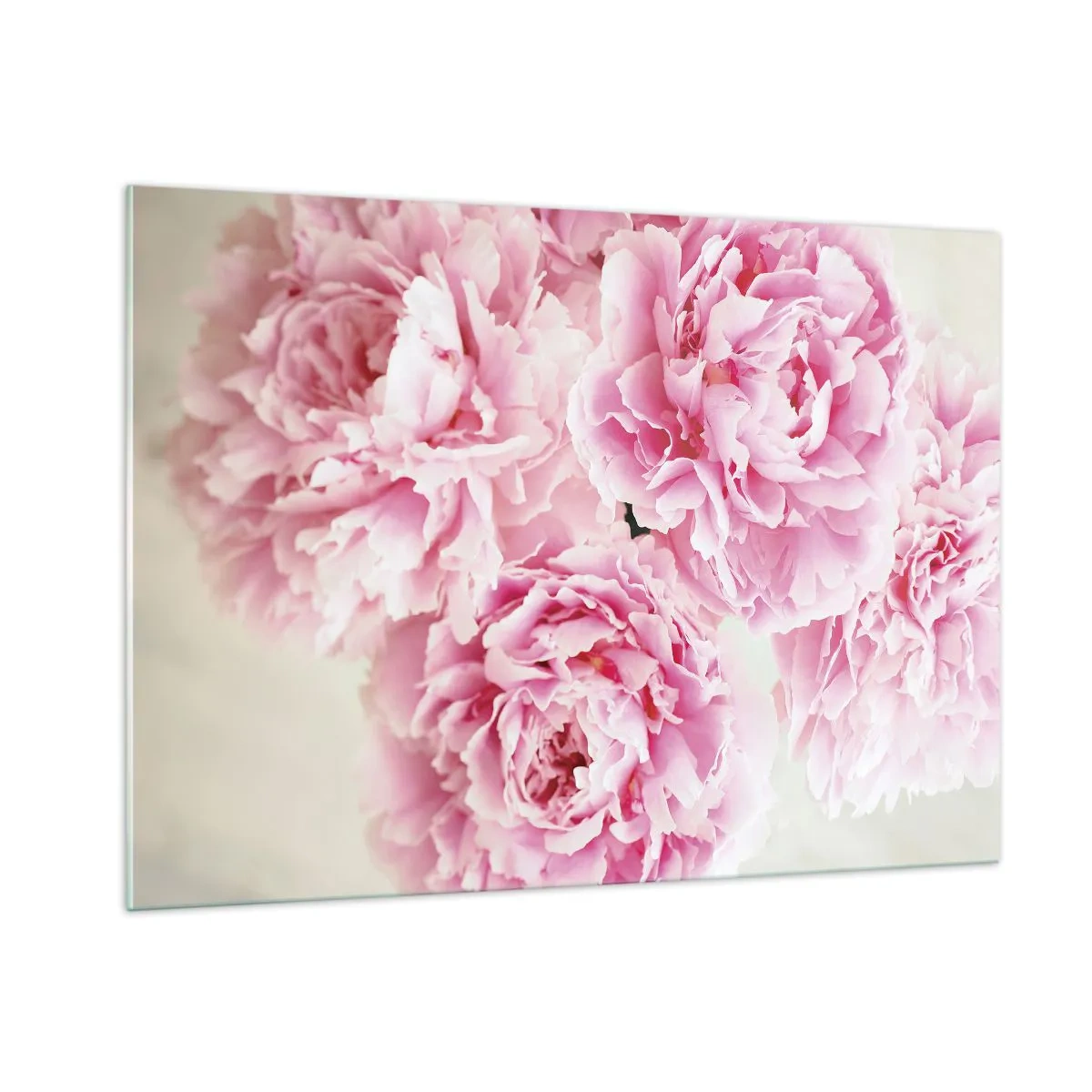 Billede på glas - I lyserød glamour - 100x70 cm