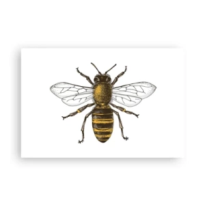 Plakat - Smuk og god - 91x61 cm