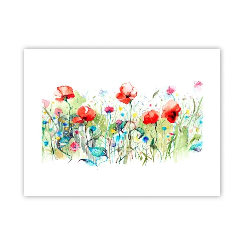 Plakat - En blomstrende eng i maj - 40x30 cm
