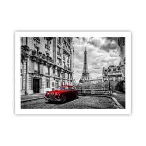 Plakat - Rovdyr i byen - 70x50 cm