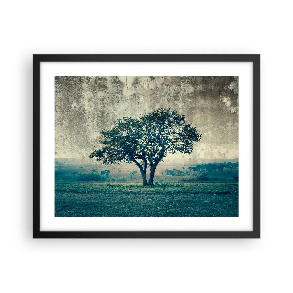 Plakat i sort ramme - Et æbletræ på en blå membran? - 50x40 cm