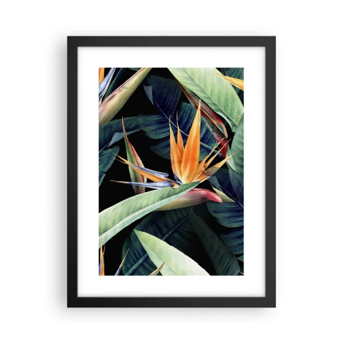 Plakat i sort ramme - Flammeblomster i troperne - 30x40 cm
