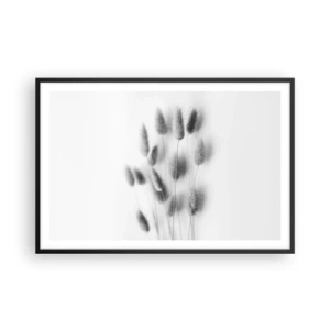 Plakat i sort ramme - Dens bløde græs - 91x61 cm