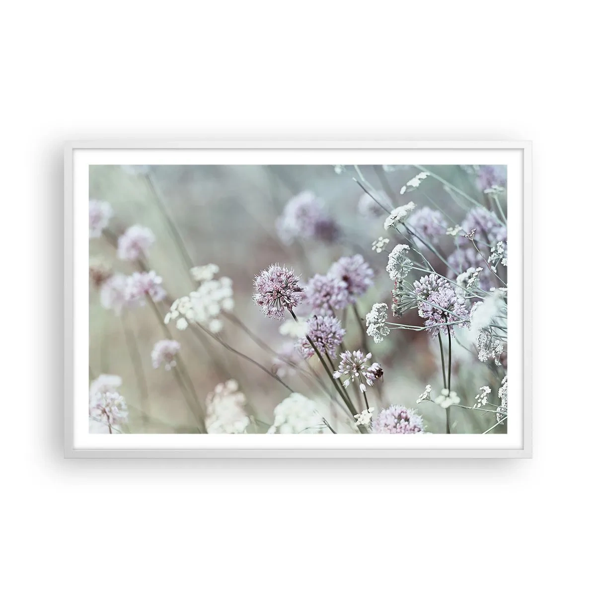 Plakat i hvid ramme - Søde filigranurter - 91x61 cm