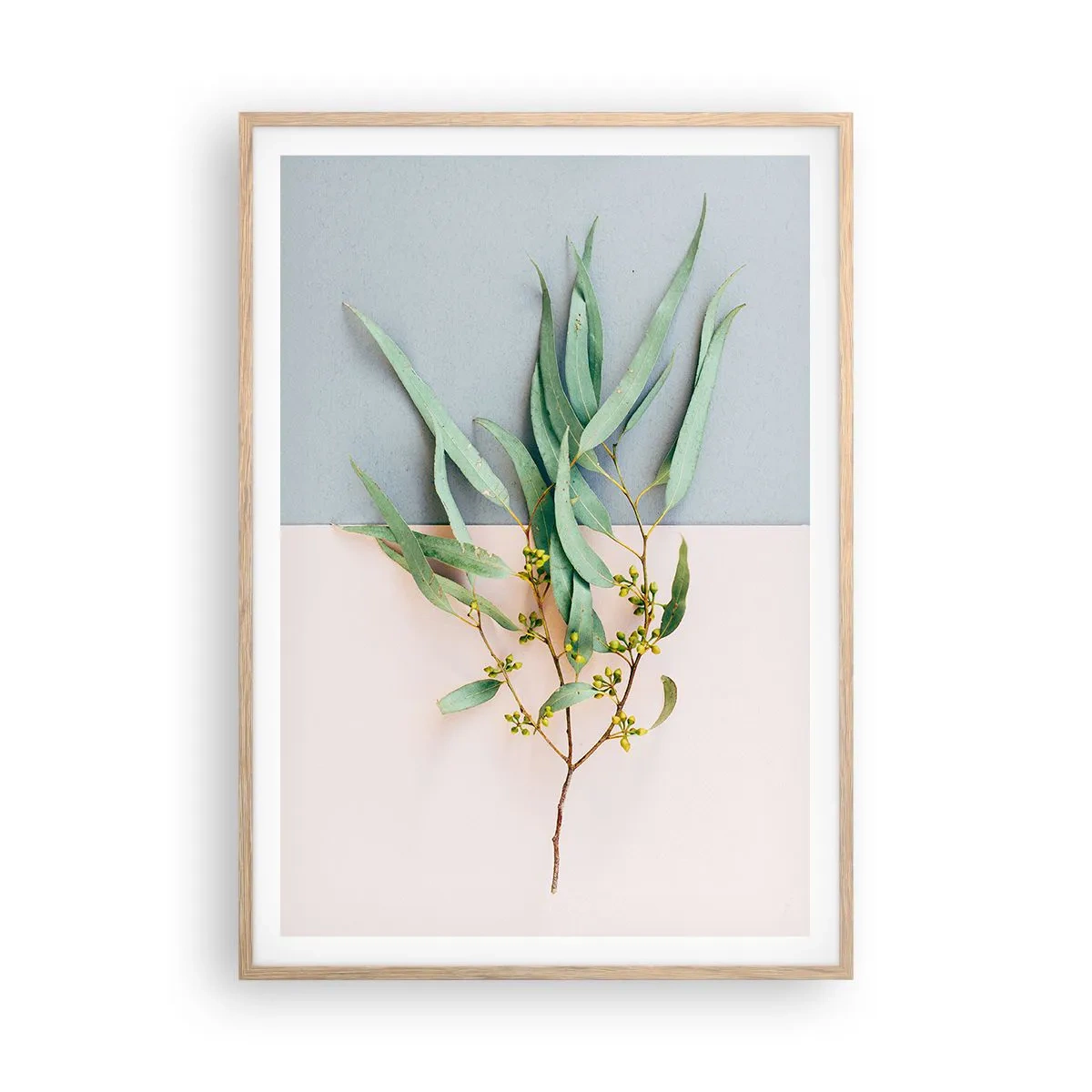 Plakat i ramme af lyst egetræ - Pastelfarvernes subtilitet - 70x100 cm