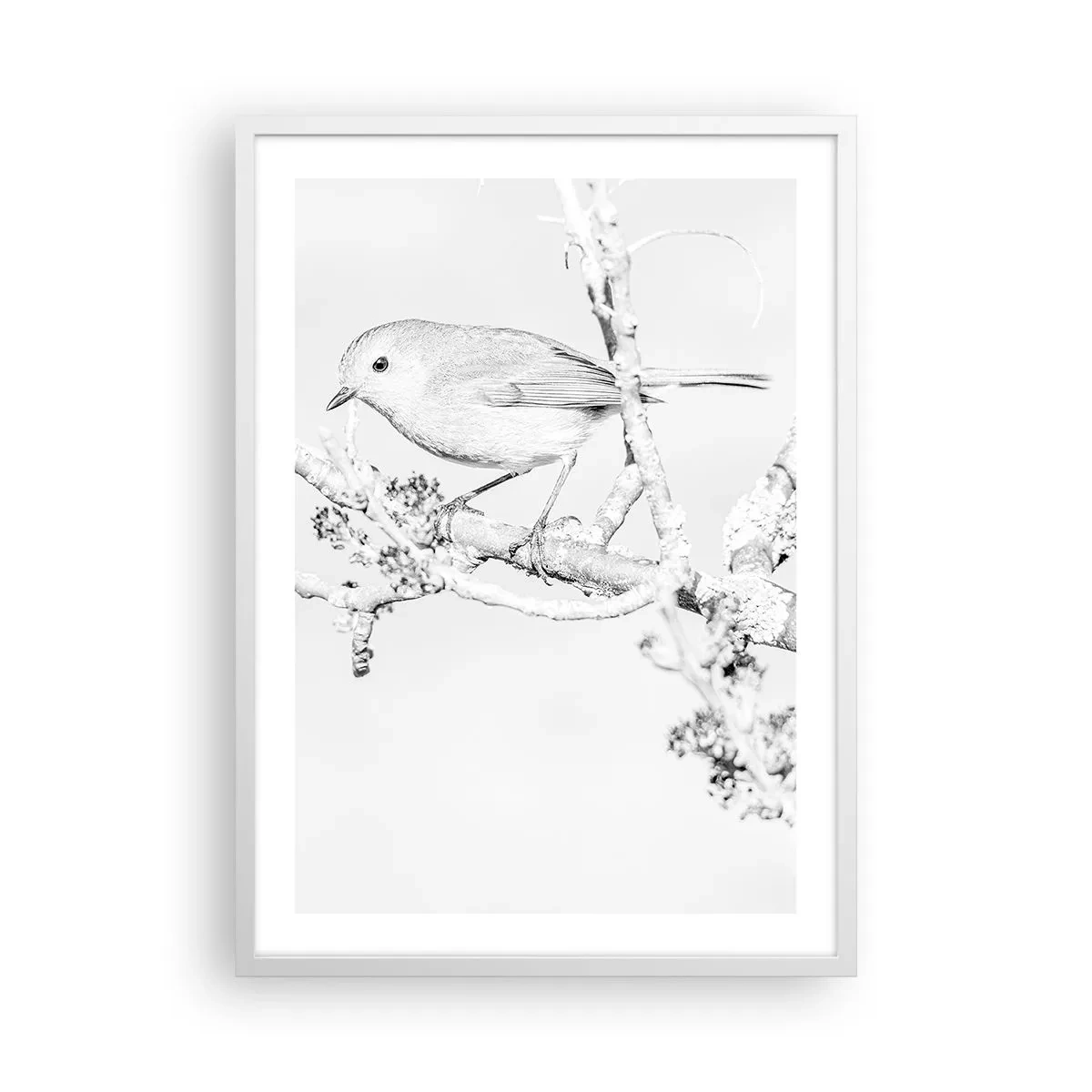 Plakat i hvid ramme - Vintermorgen - 50x70 cm