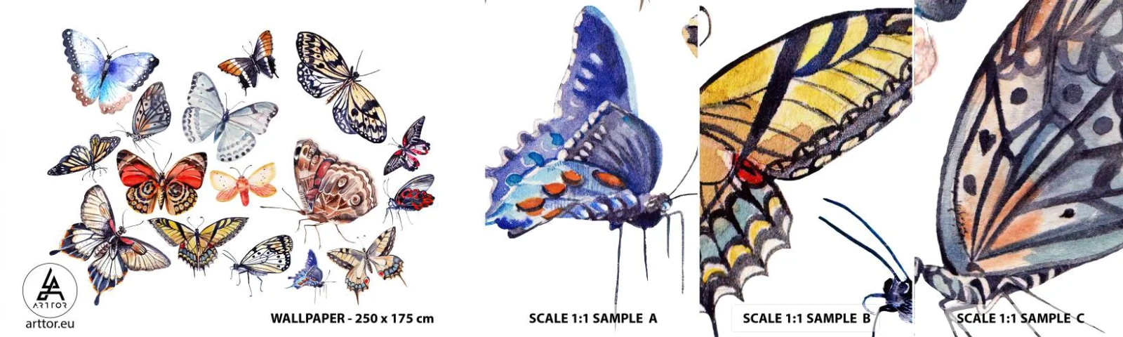 Fototapet Prøve Standard Eco - Blonder, farverig sværm - For børn, Farverige sommerfugle, Grafik - 100x30 cm