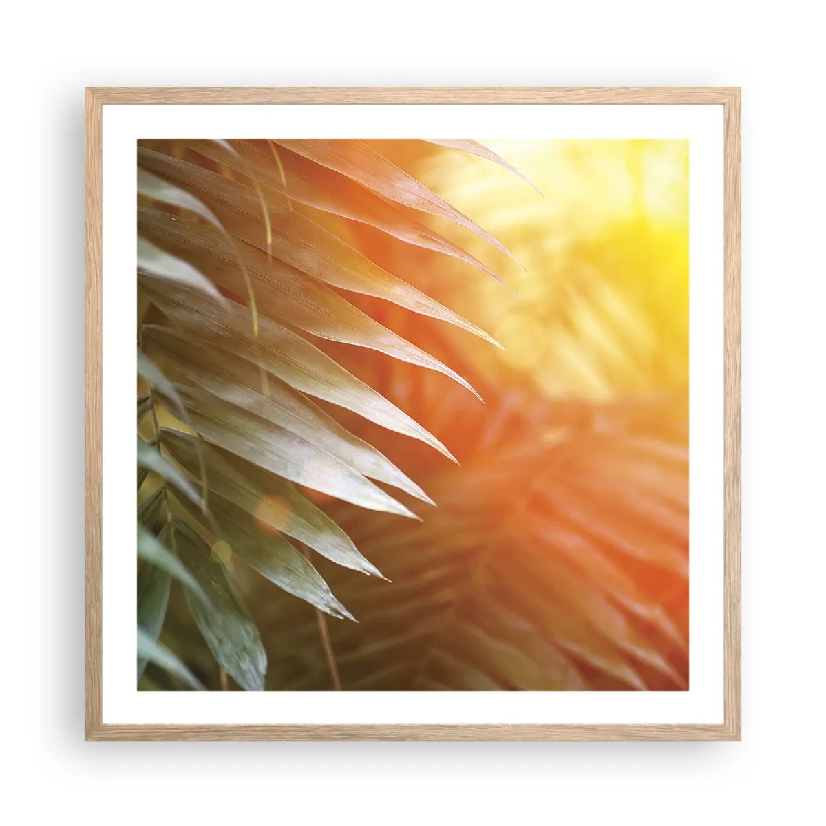Plakat i ramme af lyst egetræ - Morgen i junglen - 60x60 cm