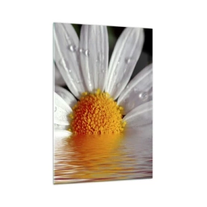 Billede på glas - Den opgående sol på margaret - 70x100 cm