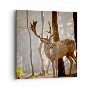 Lærredstryk - Billede på lærred - Ungdommens lys - 40x40 cm