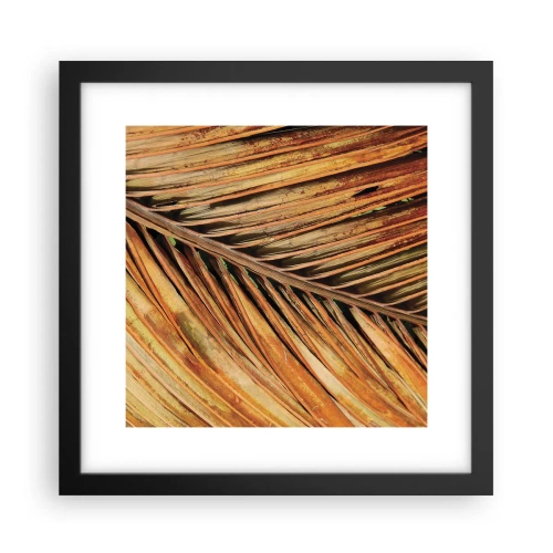 Plakat i sort ramme - Kokosnød guld - 30x30 cm
