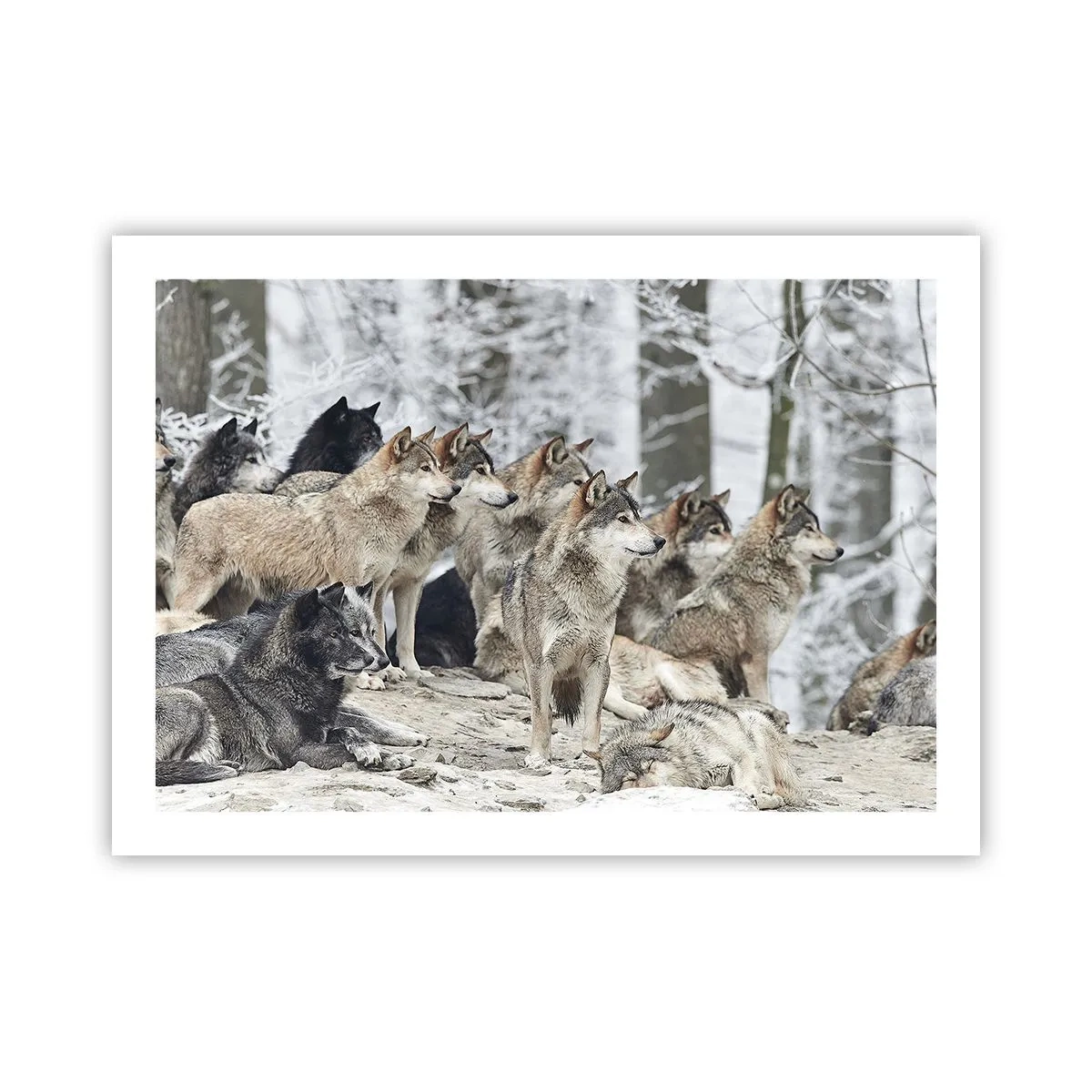 Plakat - Familie og venner - 70x50 cm