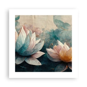 Plakat - Søens stjerner - 40x40 cm