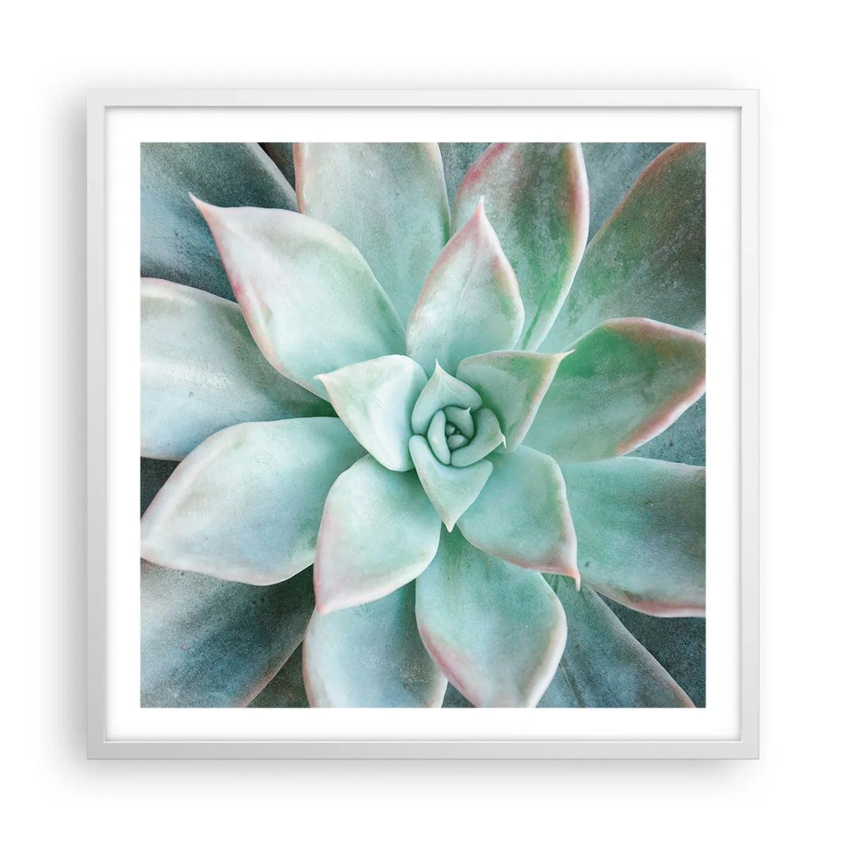 Plakat i hvid ramme - Hjertet af ørkenen - 60x60 cm