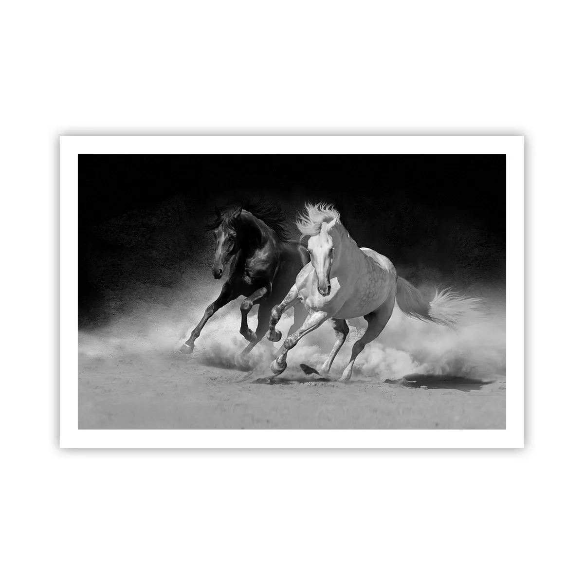 Plakat - Frihedens galop - 91x61 cm