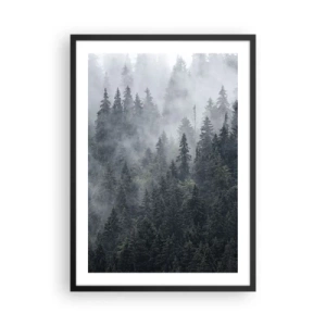 Plakat i sort ramme - En tåget skov med høje nåletræer - 50x70cm - Skovens daggry - Moderne vægdekoration til stue og soveværelse ARTTOR