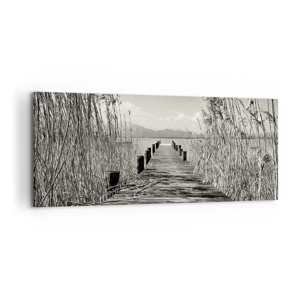 Lærredstryk - Billede på lærred - I græssernes fred - 100x40 cm