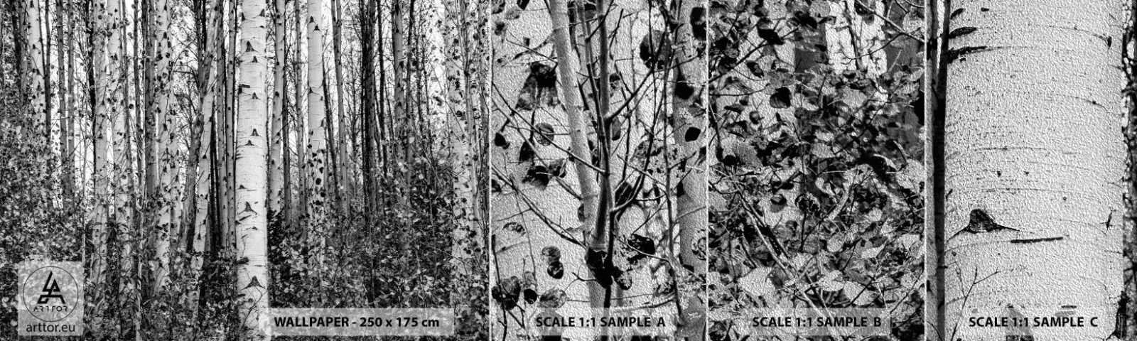 Prøve Fototapet Premium Sand - Kolonnade af birk - Skov, Birk, Natur - 100x30 cm