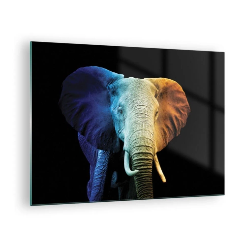 Billede på glas - Farverigt portræt af en elefant på en sort baggrund - 70x50cm - Excentrisk, ikke underlig - Moderne vægdekoration til stue og soveværelse ARTTOR