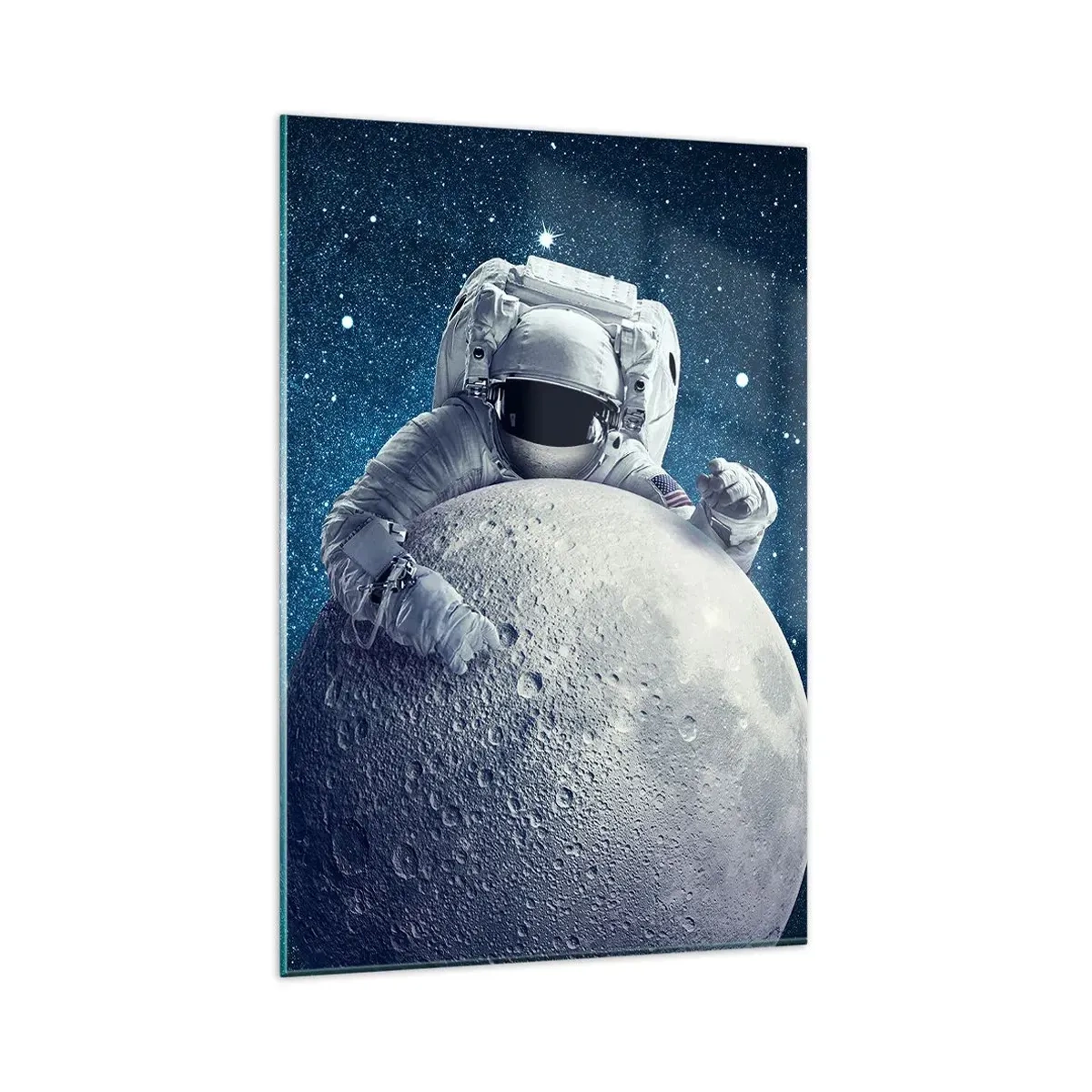 Billede på glas - Kosmisk spøgefugl - 80x120 cm