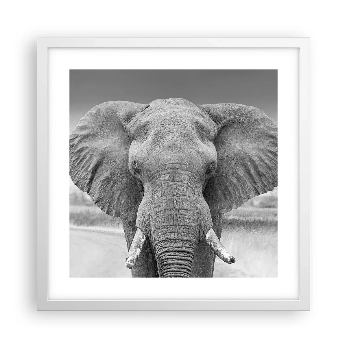 Plakat i hvid ramme - Velkommen til min verden - 40x40 cm