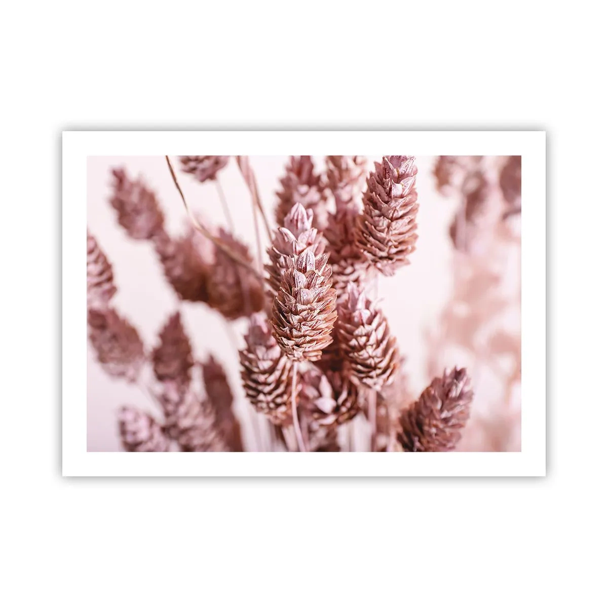 Plakat - Tilsyneladende ubemærket - 70x50 cm