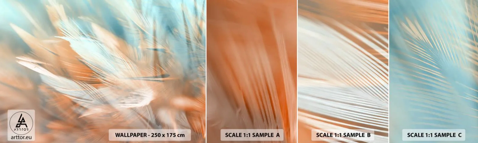 Fototapet Prøve Standard Eco - I mildhedens land - Delikat, Fjer, Minimalisme - 100x30 cm