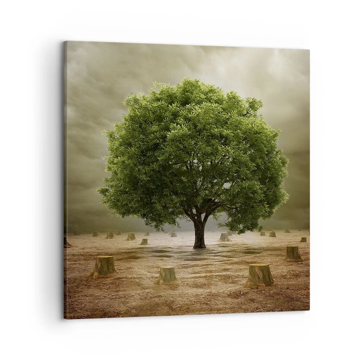 Lærredstryk - Billede på lærred - Alt håb - 50x50 cm