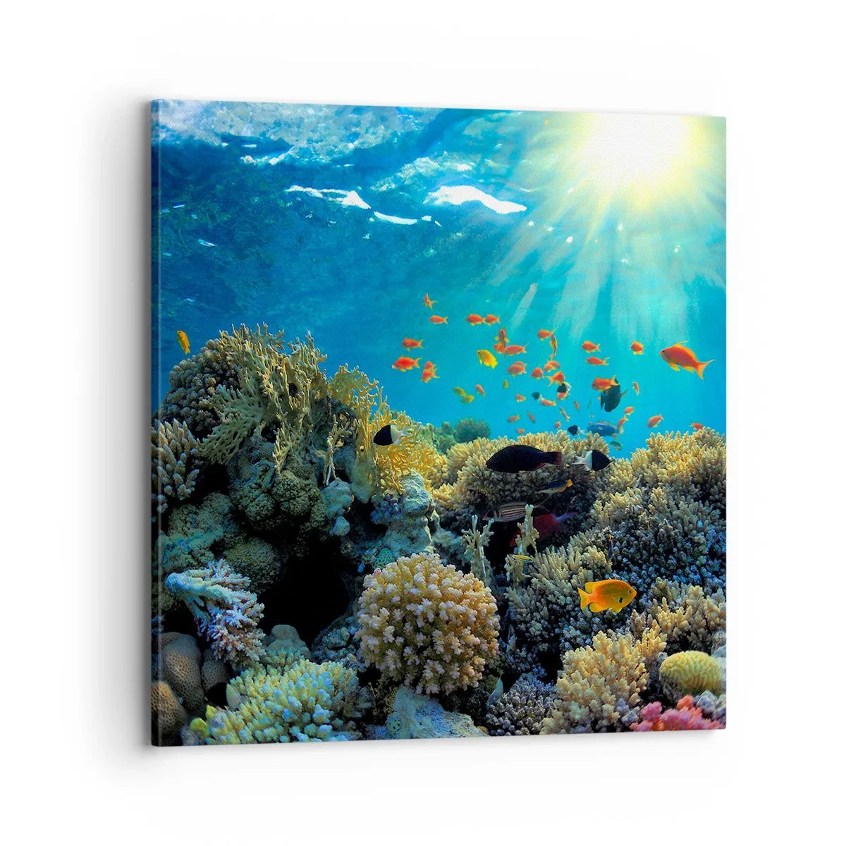 Lærredstryk - Billede på lærred - Undervandsskatte - 70x70 cm