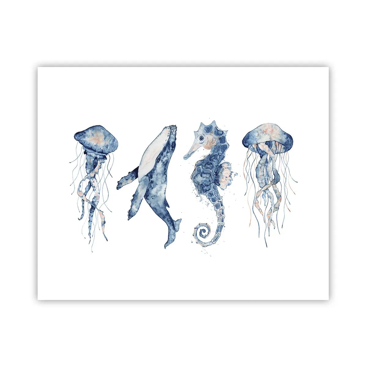 Plakat - Havets vidundere - 50x40 cm