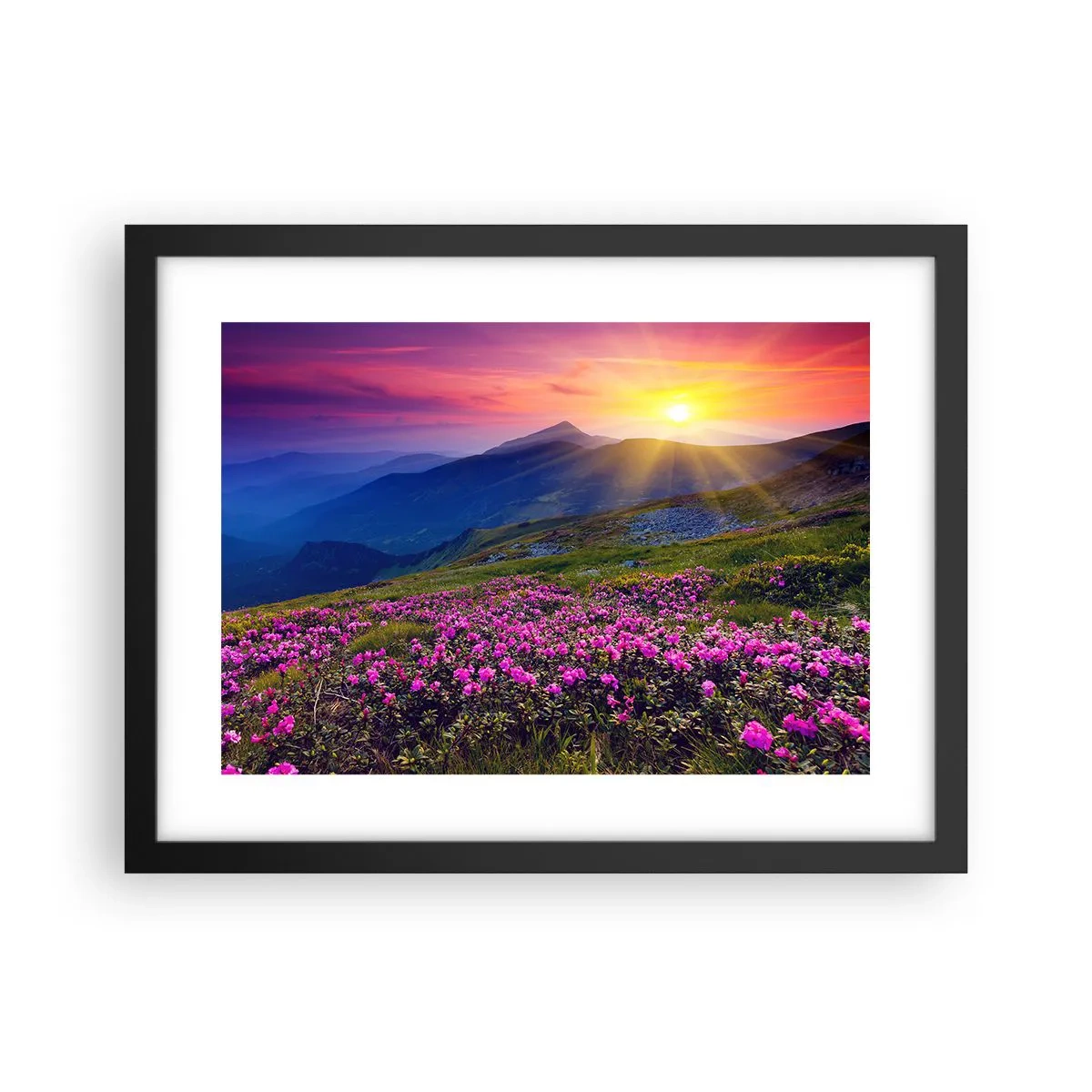Plakat i sort ramme - ... Og rundt omkring dufter det af fyrretræer og krydderurter - 40x30 cm
