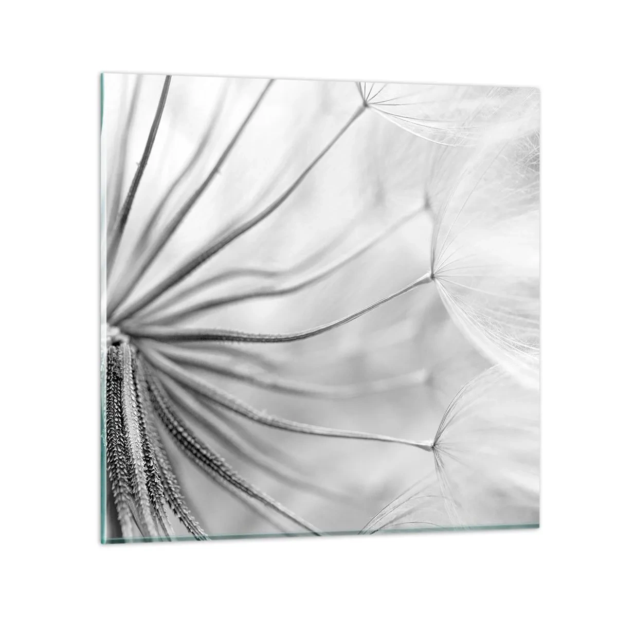 Billede på glas - Blæsende drager - 40x40 cm