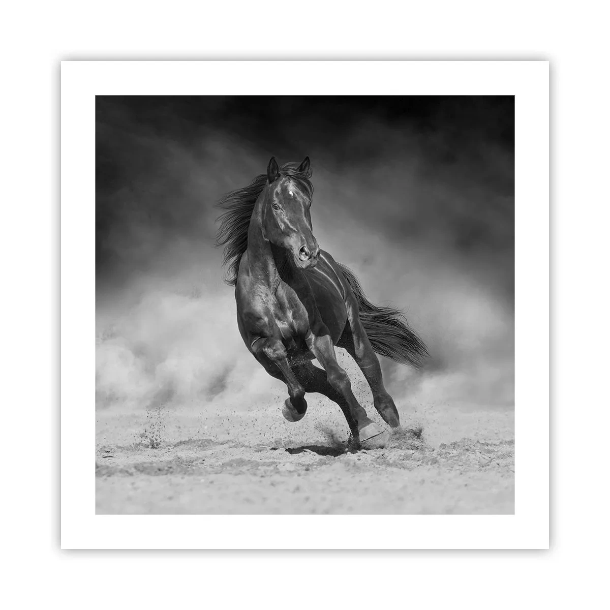 Plakat - Værdig til emiren selv - 50x50 cm