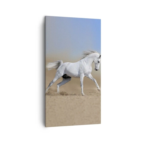 Lærredstryk - Billede på lærred - Den smukkeste arabiske fortælling - 45x80 cm