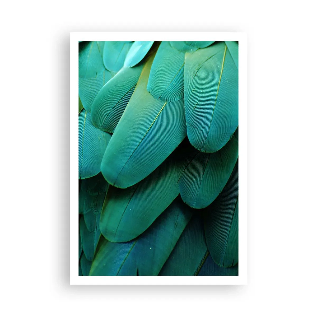 Plakat - Papegøjenaturens præcision - 70x100 cm