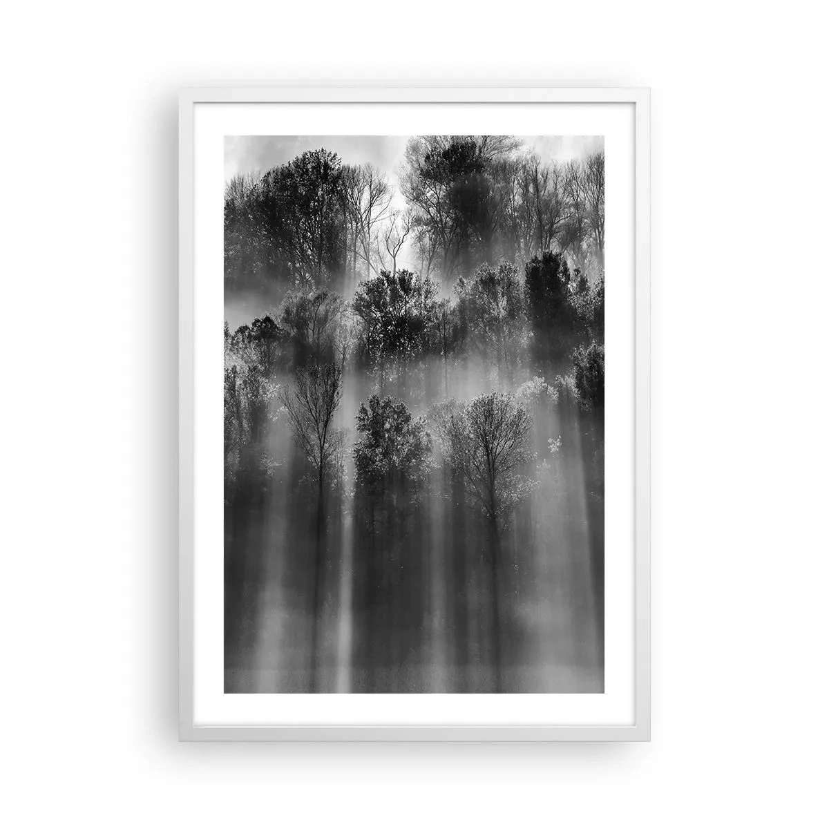 Plakat i hvid ramme - I stråler af lys - 50x70 cm