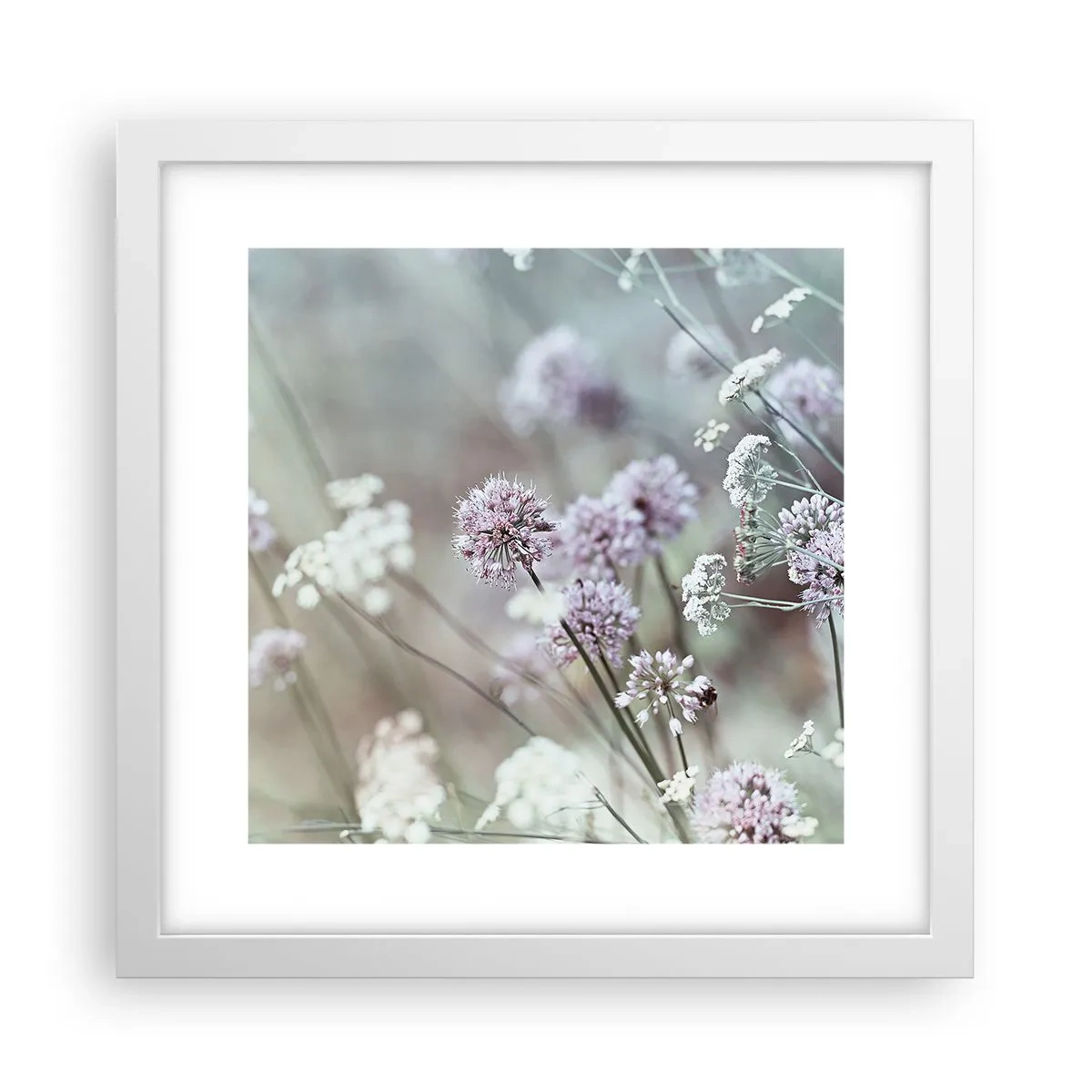 Plakat i hvid ramme - Søde filigranurter - 30x30 cm