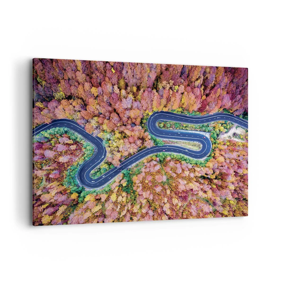 Lærredstryk - Billede på lærred - En snoet vej gennem skoven - 100x70 cm