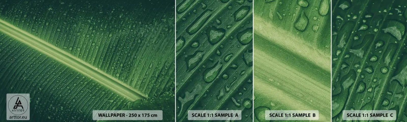 Prøve Fototapet Selvklæbende Deluxe Sticker - Grøn struktur - Grønt blad, Tropisk plante, Stykke - 100x30 cm