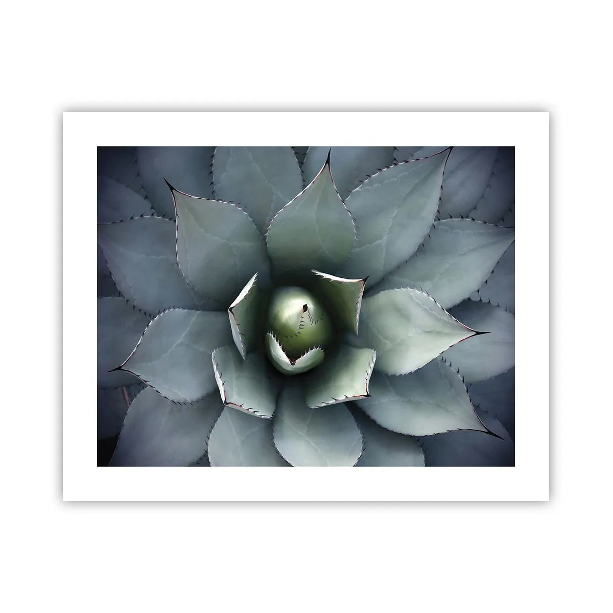 Plakat - Lokkemad og advarsler - 50x40 cm