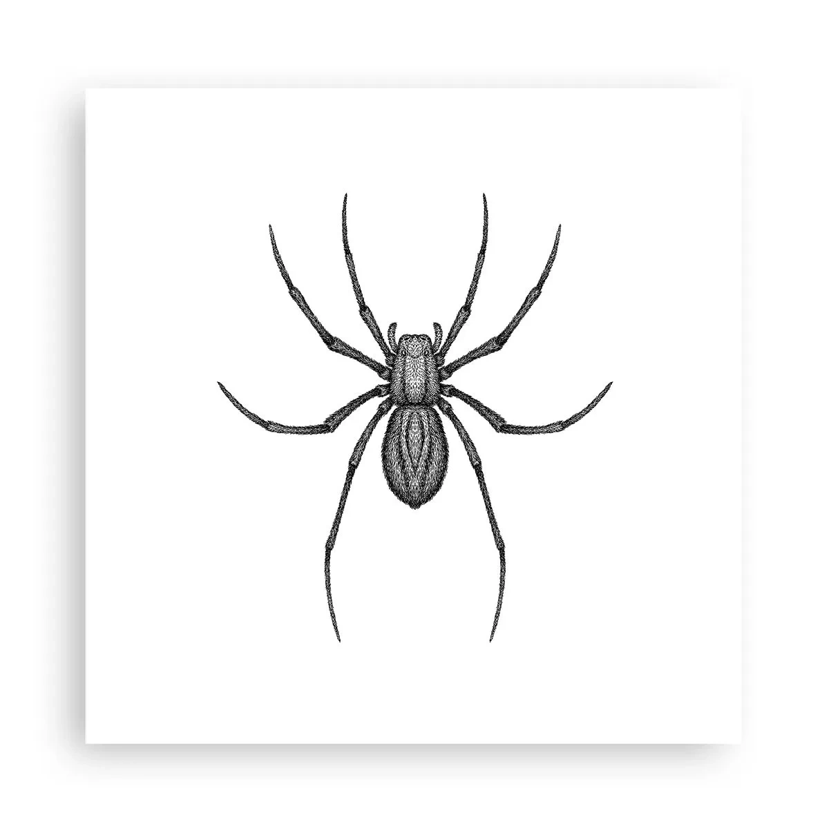 Plakat - Foruroligende præcision - 30x30 cm