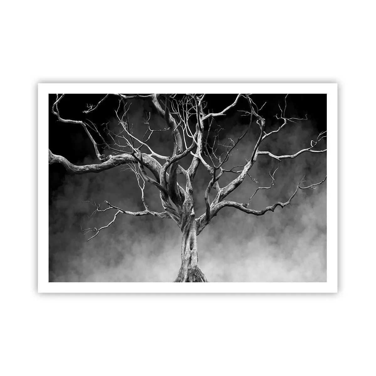 Plakat - Primær og hellig - 100x70 cm