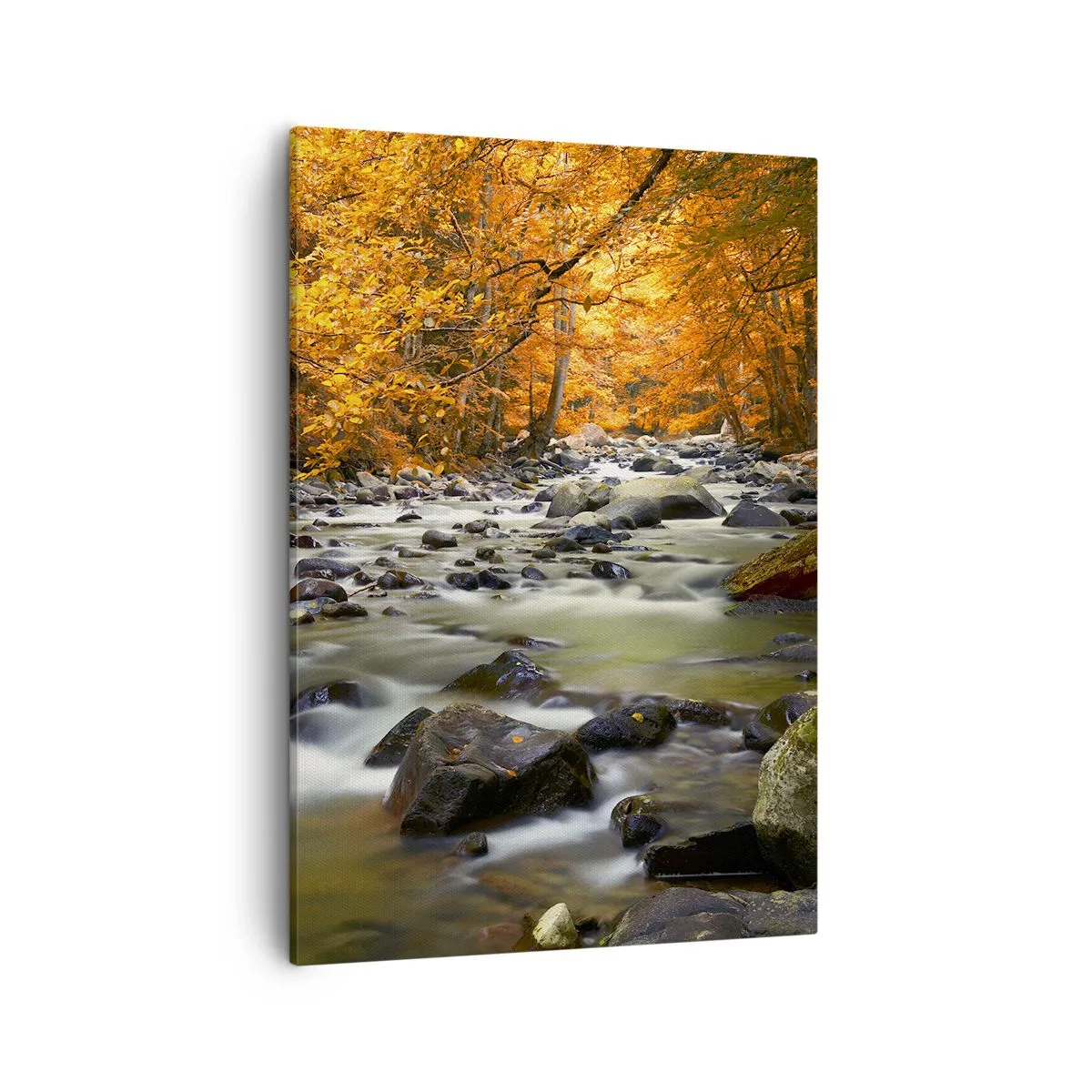 Lærredstryk - Billede på lærred - Et vandløb i den gyldne skov - 50x70 cm