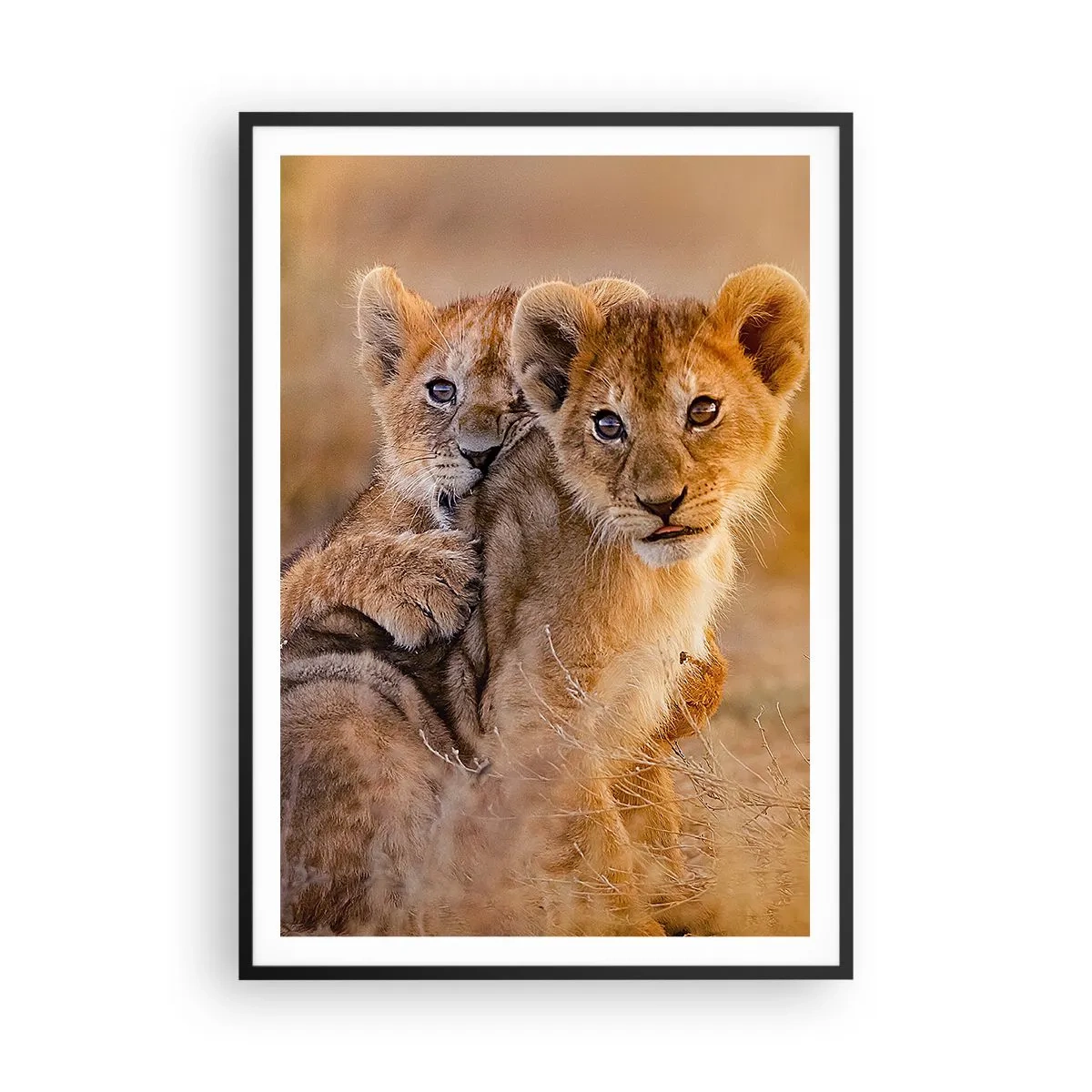 Plakat i sort ramme - Forstyr ikke! Vi har det sjovt - 70x100 cm