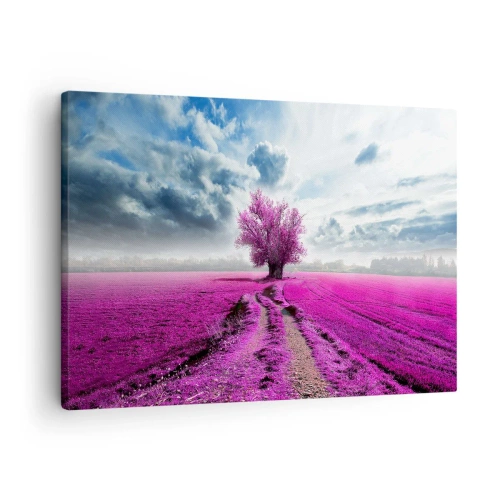 Lærredstryk - Billede på lærred - Et ensomt træ på en mark i en intens lyserød nuance - 70x50cm - Hedeslette - charmerende - Moderne vægdekoration til stue og soveværelse ARTTOR