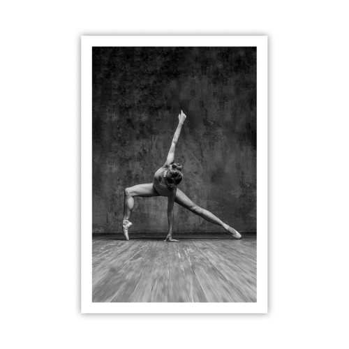 Plakat - Idealet om balance - 61x91 cm