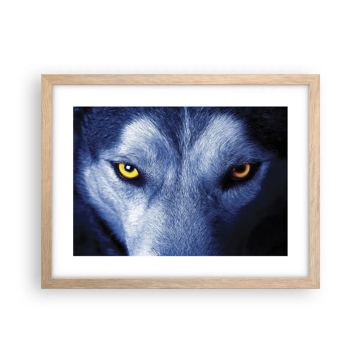 Plakat i ramme af lyst egetræ - Et hypnotiserende udseende - 40x30 cm