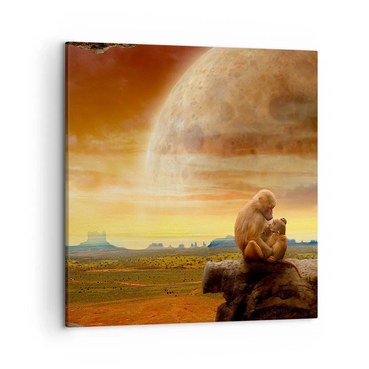 Lærredstryk - Billede på lærred - Kærlighed overalt den samme - 50x50 cm